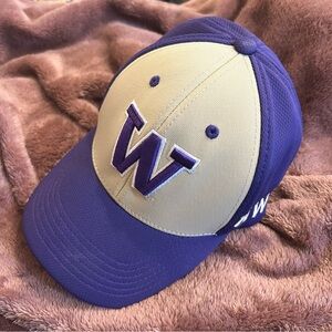 UW University of Washington Purple and Gold Baseball dad hat